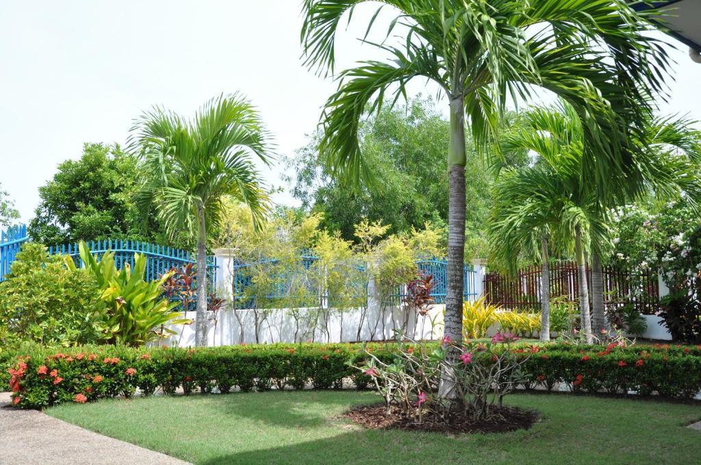 Olivia Resort Serviced Apartments And Bungalows パングラオ 部屋 写真